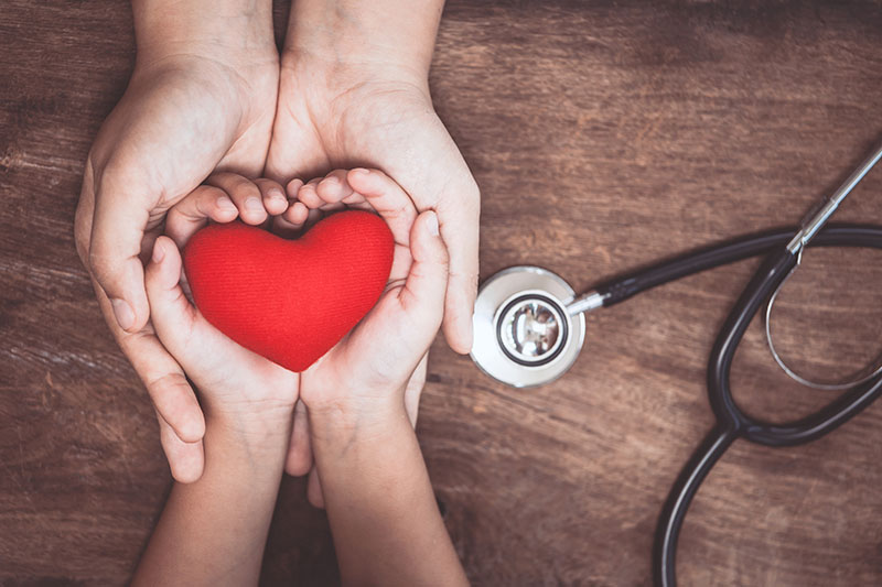 Photo of two hands holding a heart in hopes to find a cure to heart conditions.